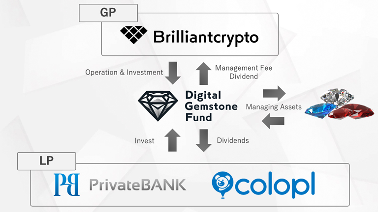 Overview Diagram of Digital Gemstone Fund